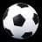 Sepakbola