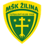 Zilina U19 logo