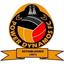 Power Dynamos logo