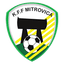 Mitrovica W logo
