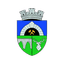 Anenii Noi W logo