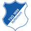 Hoffenheim logo