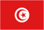 Tunisia U23 logo