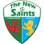 TNS logo