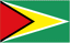 Guyana W logo