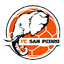San Pedro logo