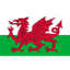 Wales U17 W logo