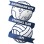 Birmingham logo