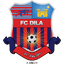 Dila Gori logo
