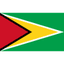 Guyana logo