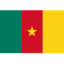Cameroon logo