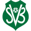 Suriname logo