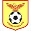 Nam Dinh logo
