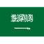 Saudi Arabia U20 logo