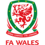 Wales U21 logo