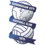 Birmingham logo